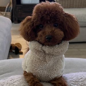 Meet your Posher, Anna